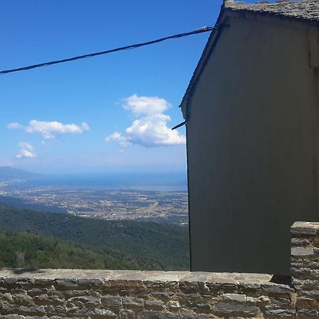 Gite La Fontaine Corse Loreto-di-Casinca エクステリア 写真
