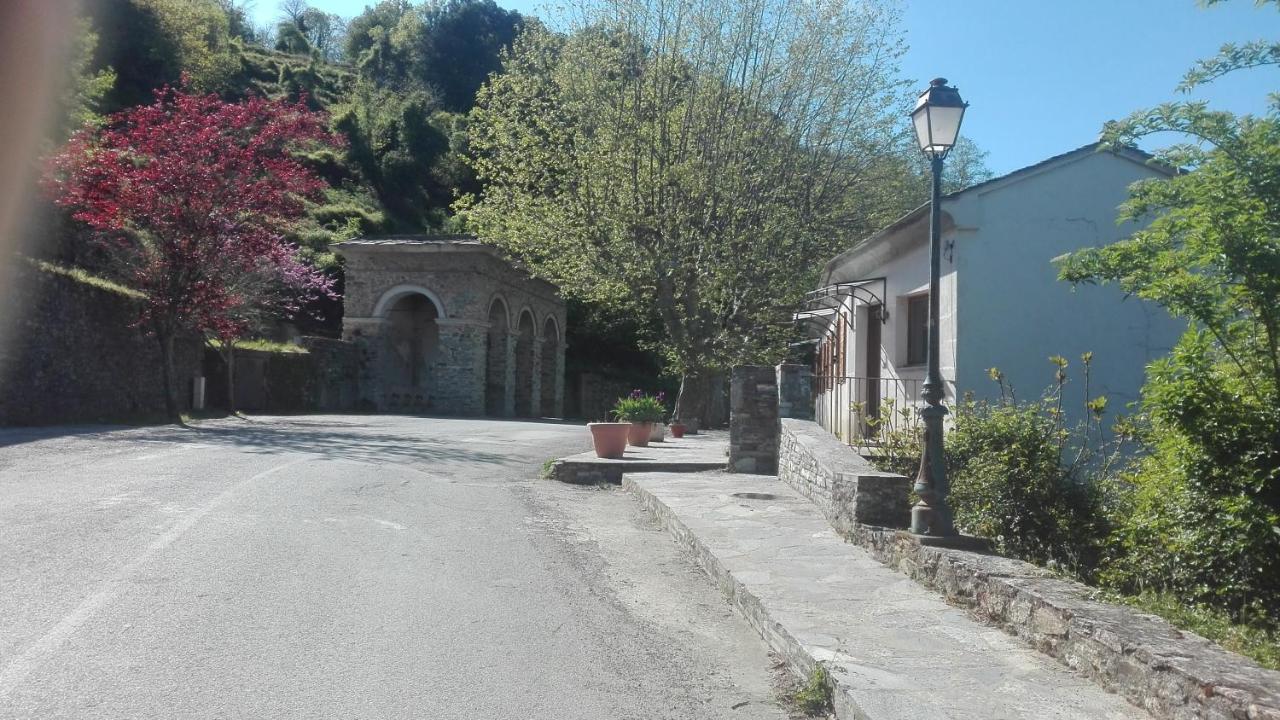 Gite La Fontaine Corse Loreto-di-Casinca エクステリア 写真