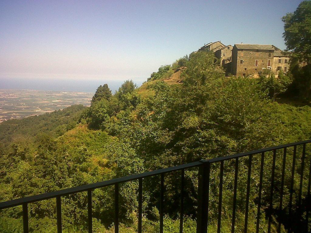 Gite La Fontaine Corse Loreto-di-Casinca 部屋 写真