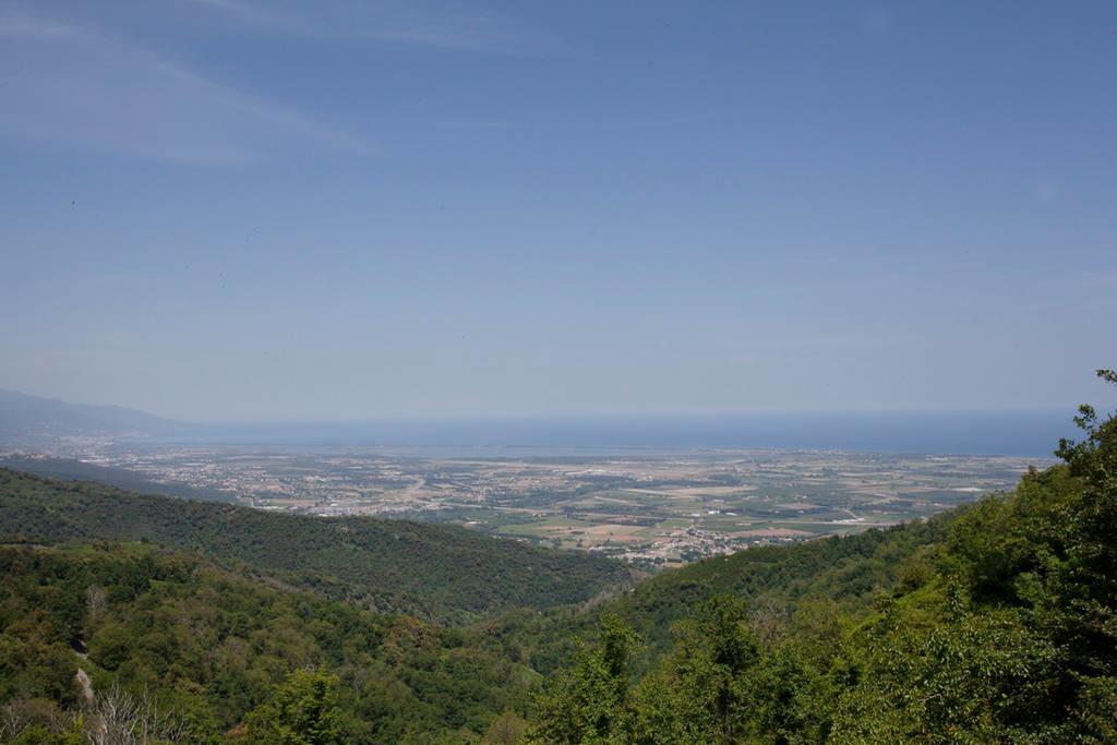 Gite La Fontaine Corse Loreto-di-Casinca 部屋 写真