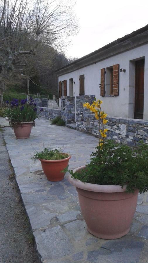 Gite La Fontaine Corse Loreto-di-Casinca エクステリア 写真