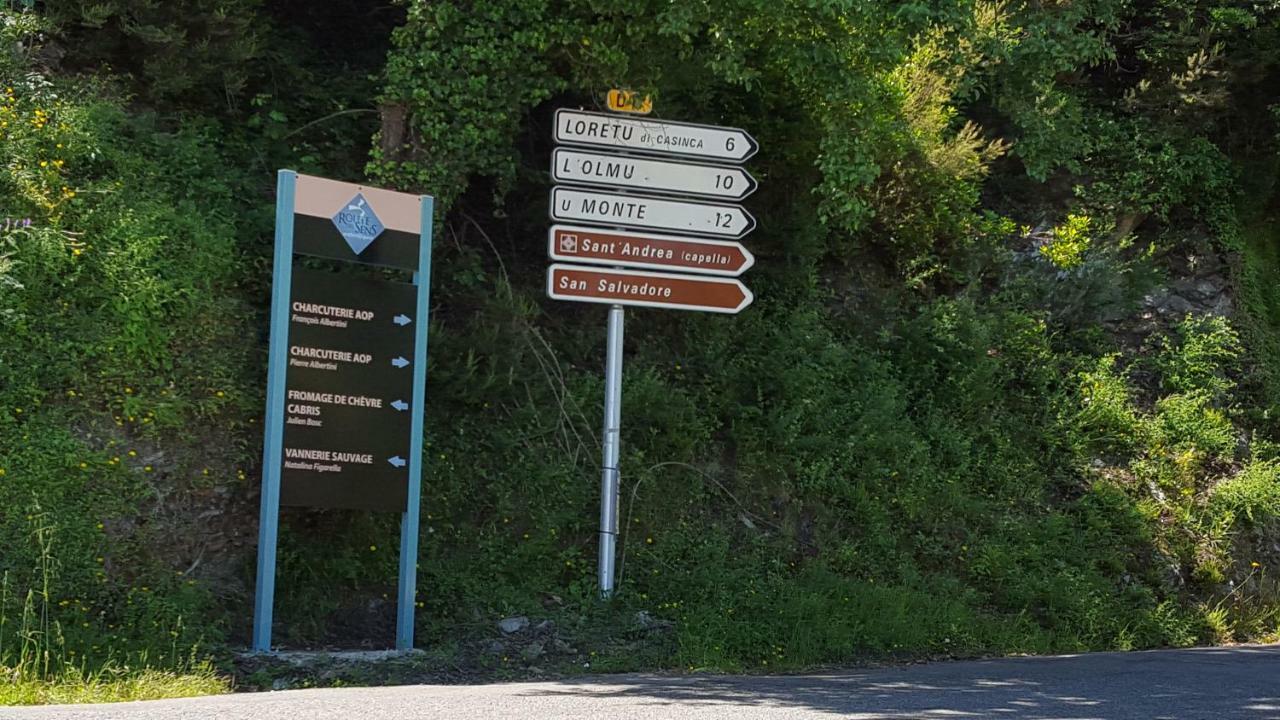 Gite La Fontaine Corse Loreto-di-Casinca エクステリア 写真