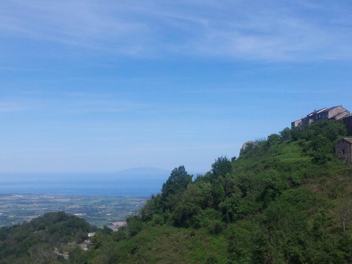 Gite La Fontaine Corse Loreto-di-Casinca エクステリア 写真