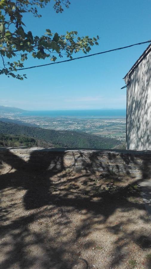 Gite La Fontaine Corse Loreto-di-Casinca エクステリア 写真